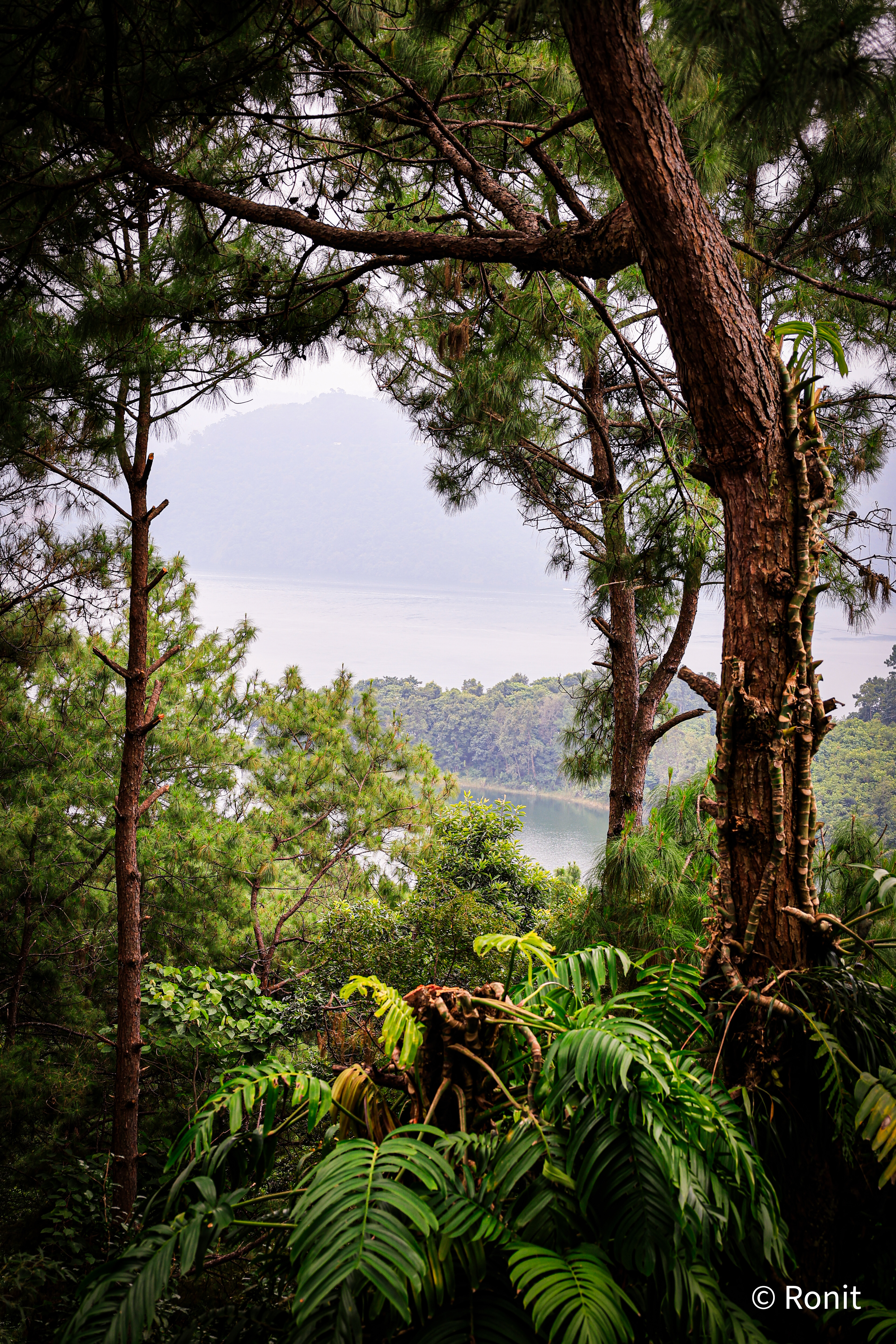 Landscape – Shillong, Arunachal Pradesh